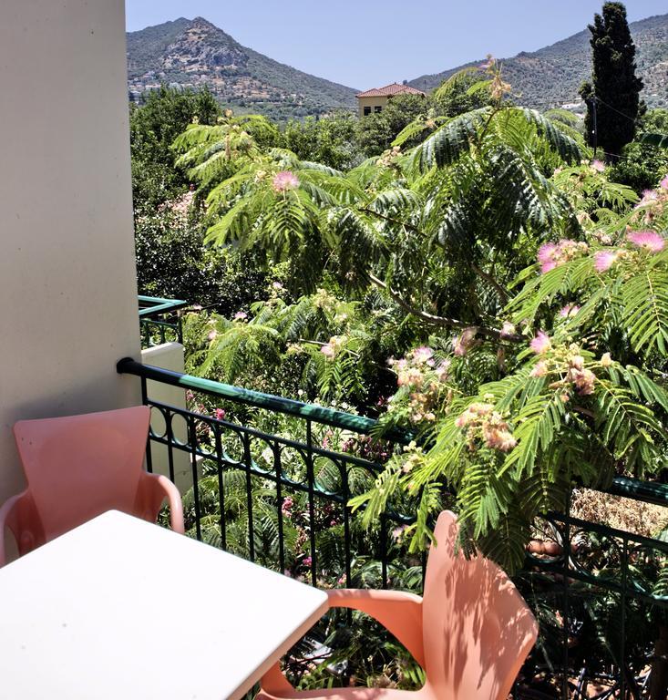 Sappho Studios Mytilíni Rum bild